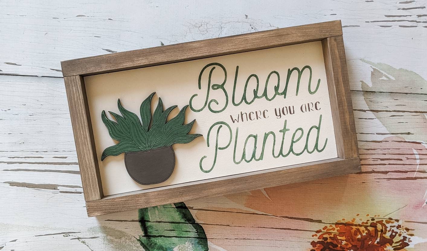 Bloom where you are planted - 3D sign - Succulent - farmhouse decor - Every day Decor - framed sign - Handcrafted